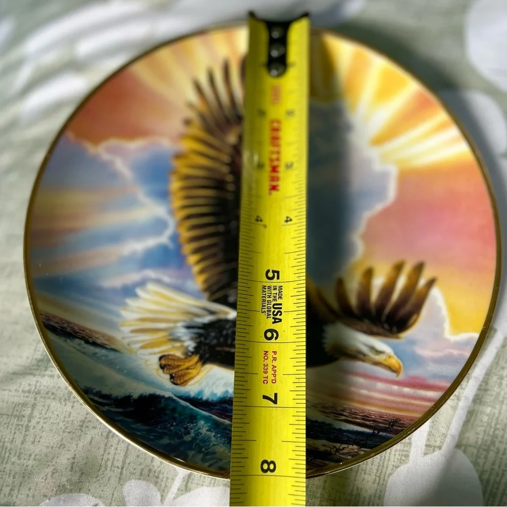 Vintage Eagle Soar Sunset Nature Bird Collectible Porcelain Plate Wall Art Decor